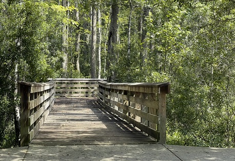 hampton lake sc